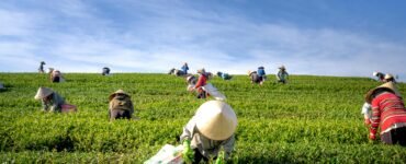 PM-Kisan Voluntary Benefits